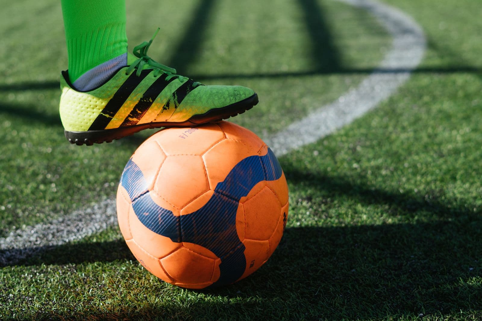 Athletes in a professional football training session on a natural grass pitch